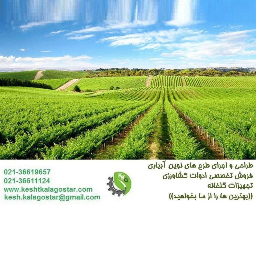 1738821578866.webp
