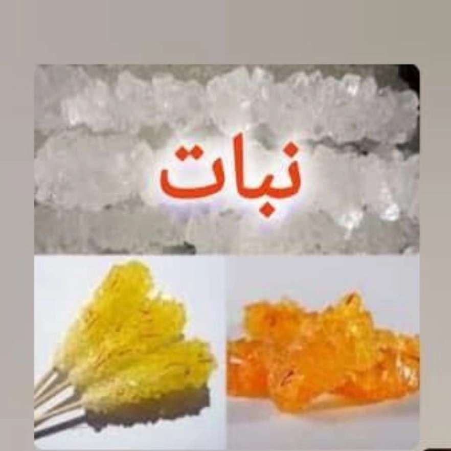 1740208940912.webp