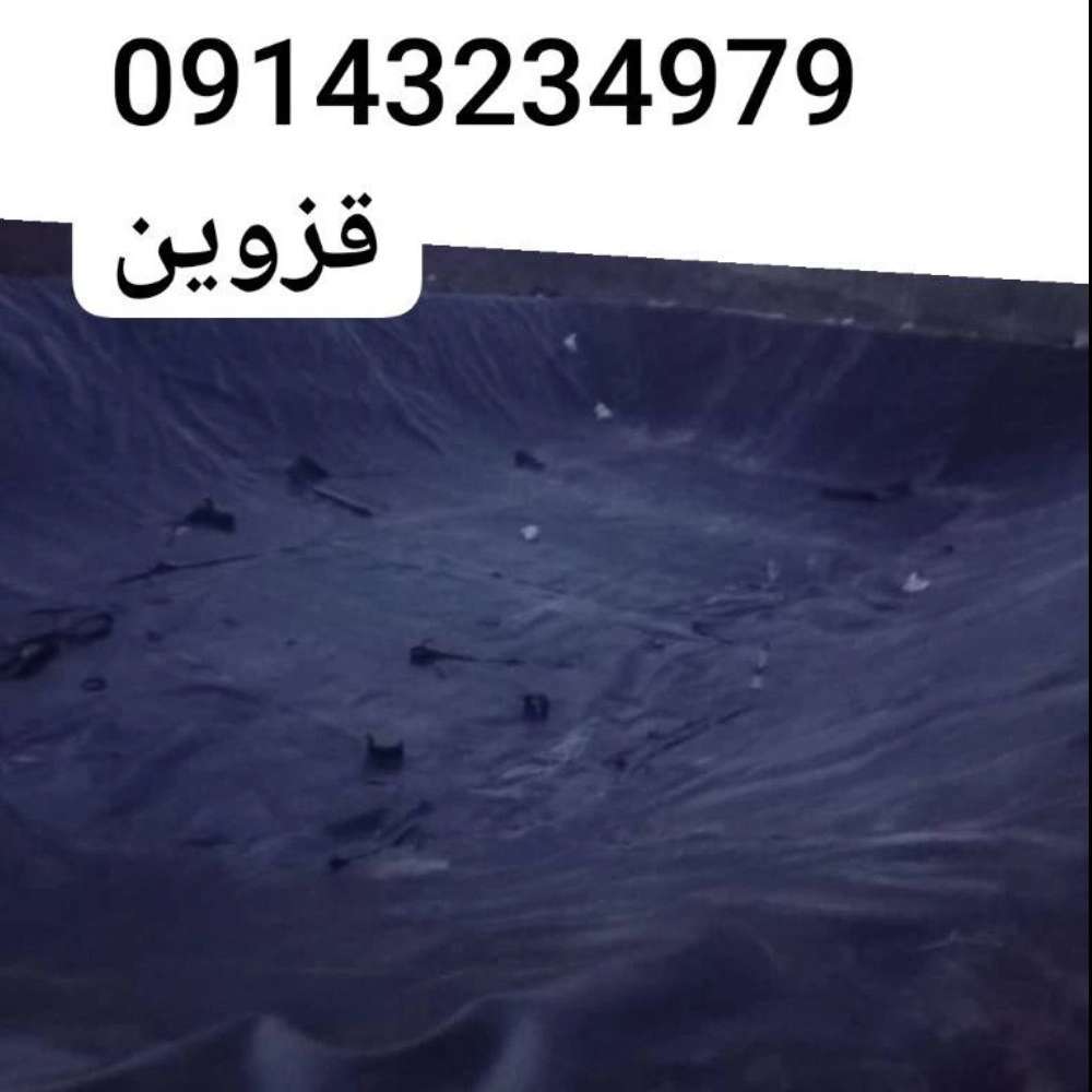 1740474326076.webp