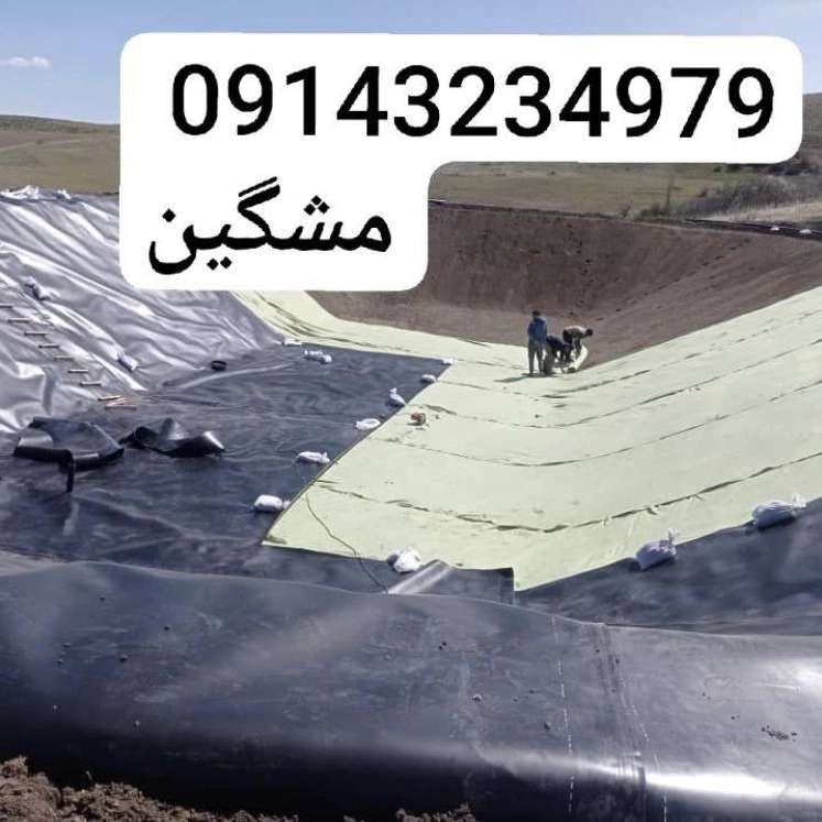 1740474343296.webp