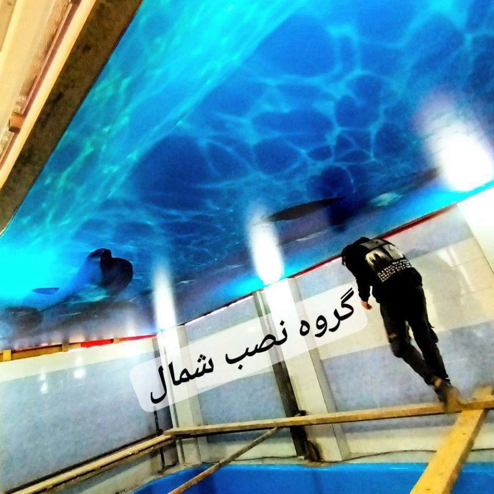 1741430144336.webp
