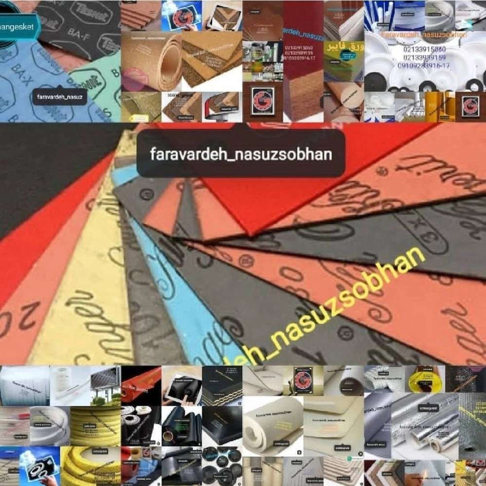 1744096054249.webp