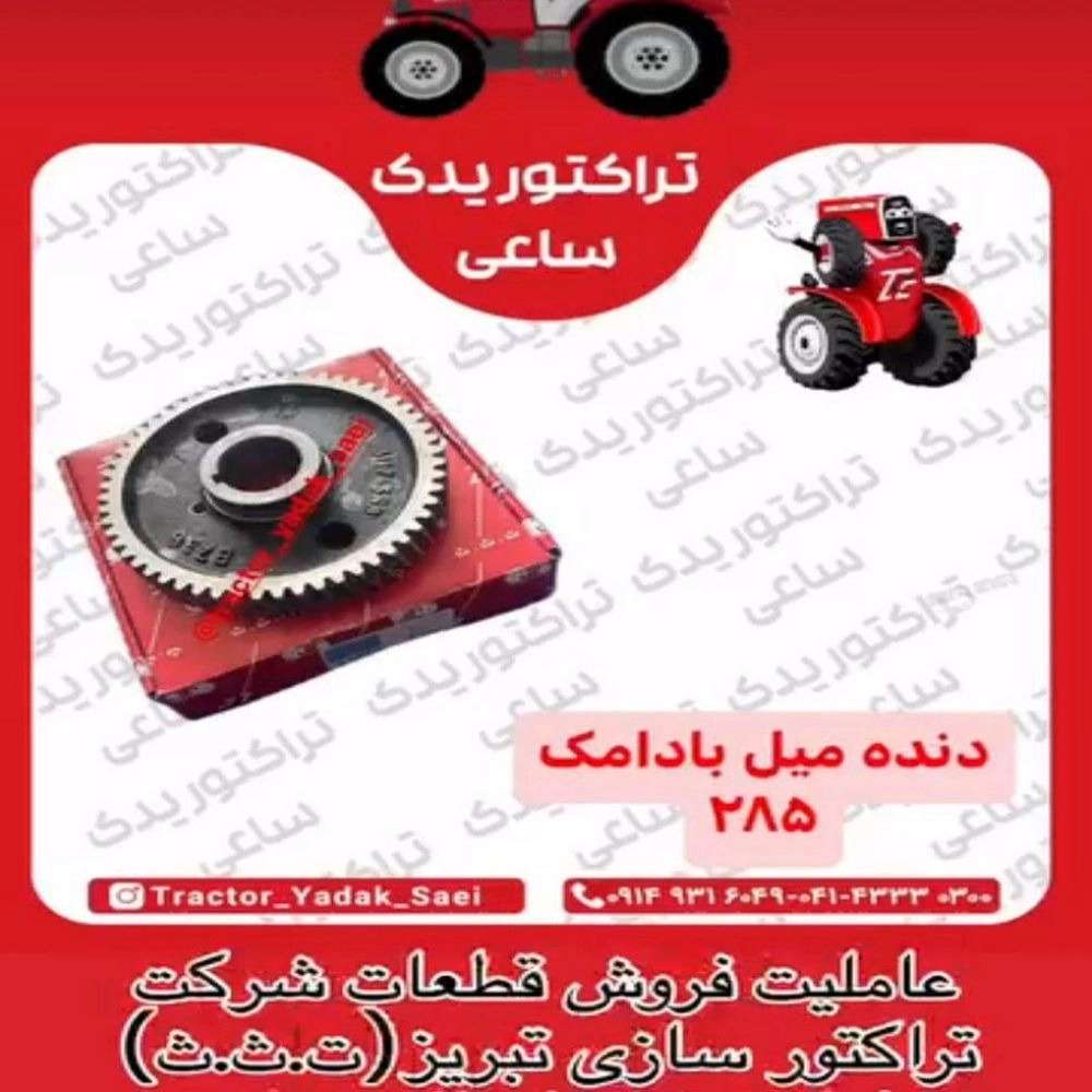 1744881925811.webp