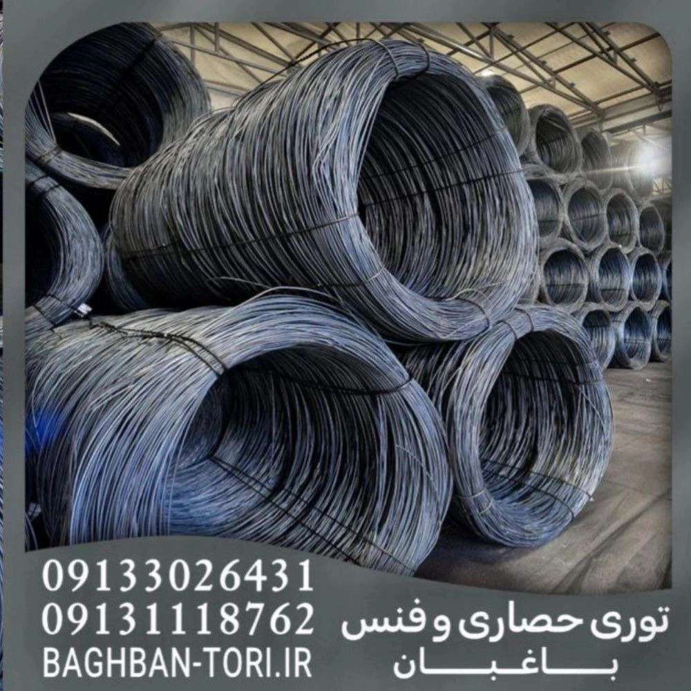 1746689538568.webp