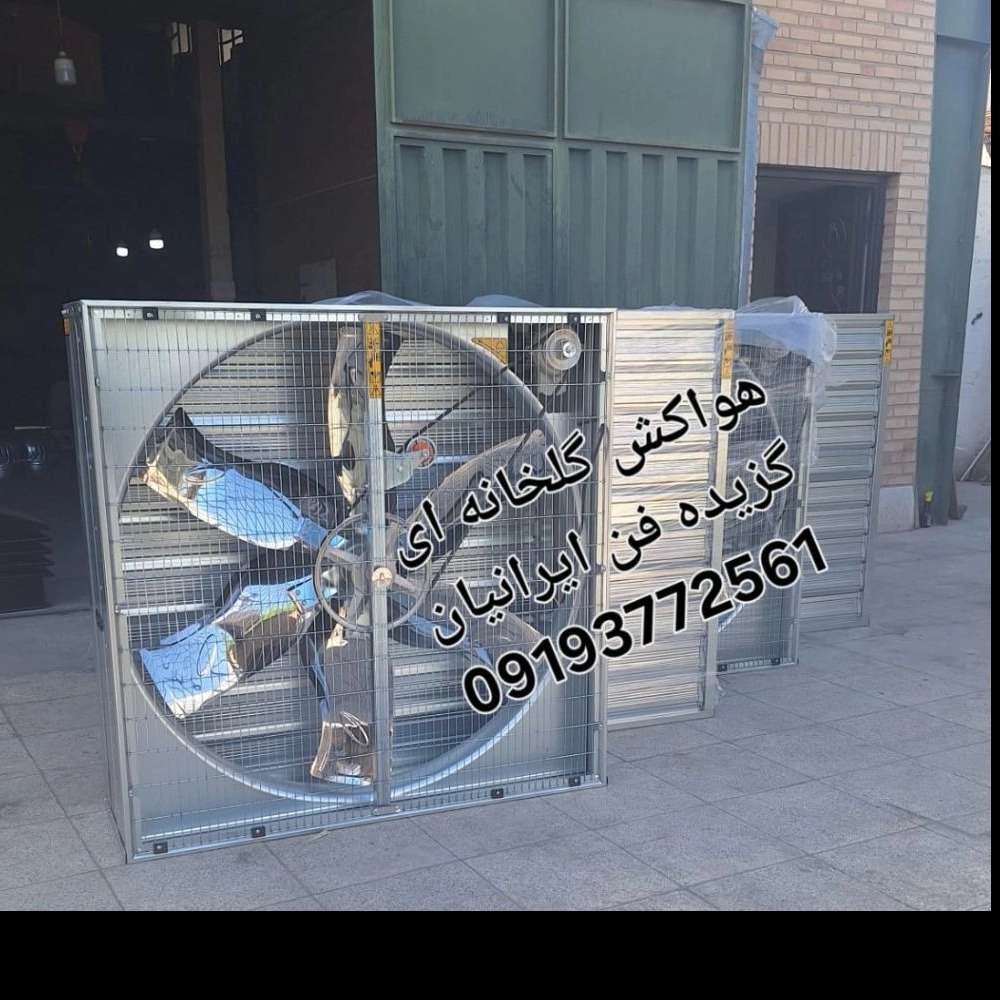 1749450067849.webp