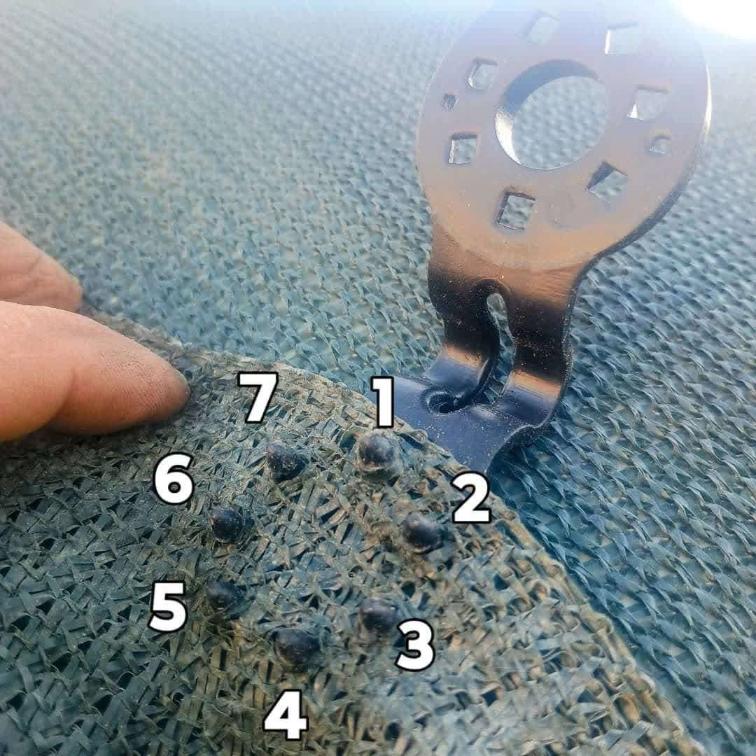1750144159905.webp