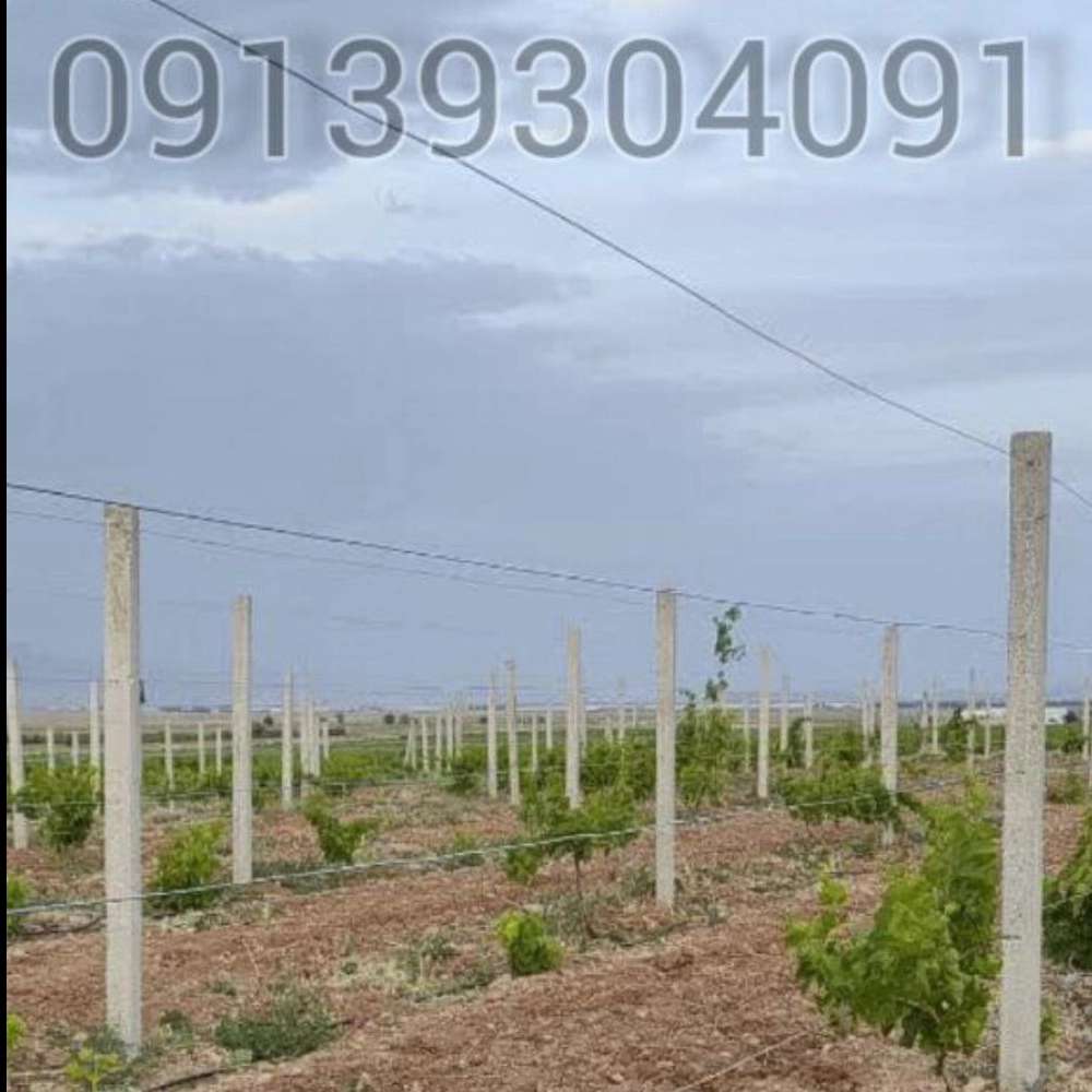1753088588881.webp