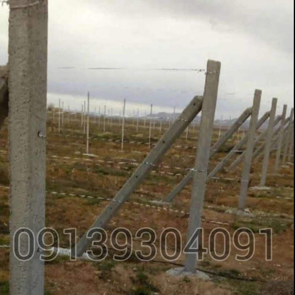 1753088611716.webp