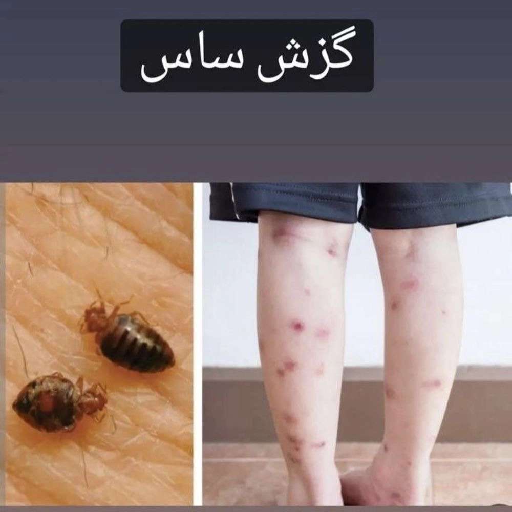 1760441787941.webp