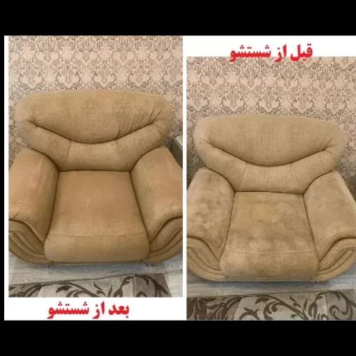 1697970460262.webp