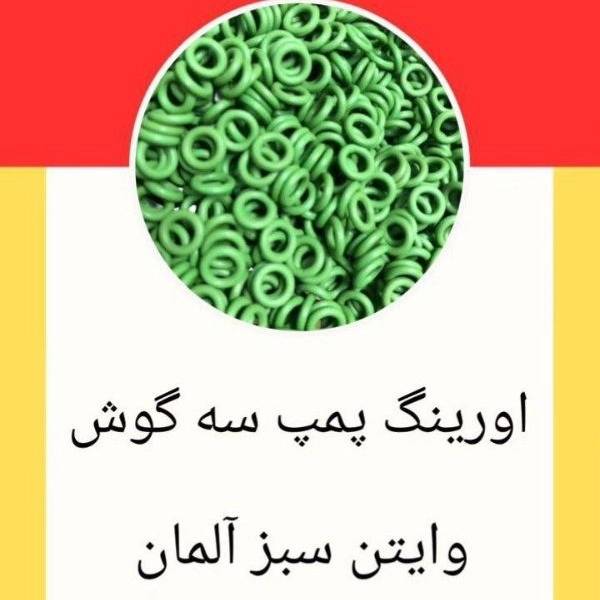 1699772072279.webp