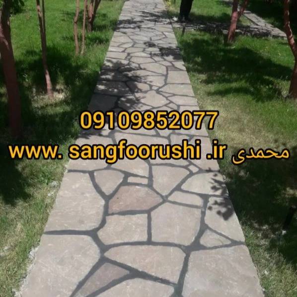 1700121139902.webp