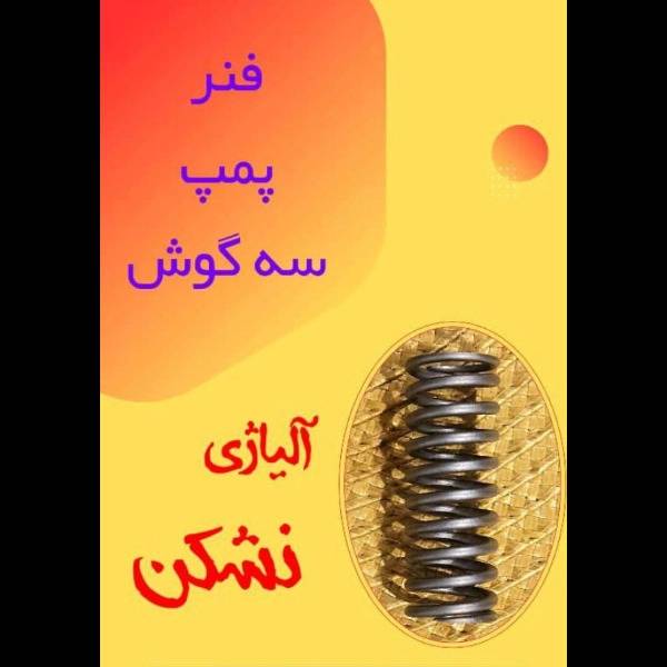 1703755333373.webp
