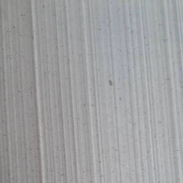 1705995093003.webp