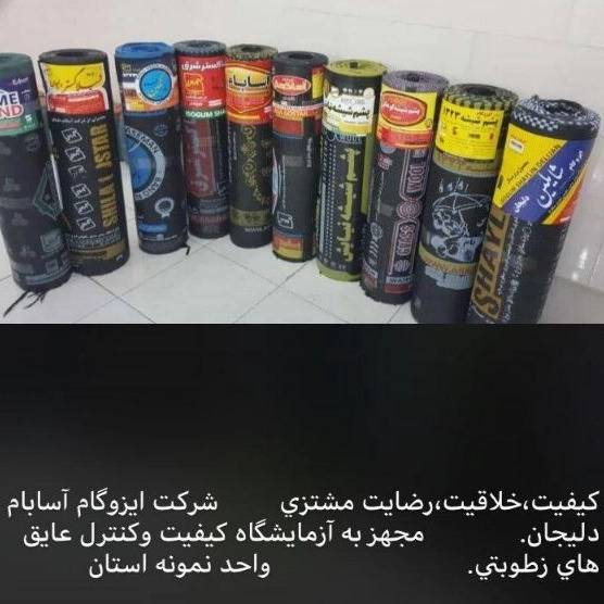 1706616183679.webp