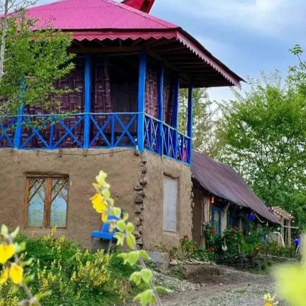 همیشه بهار