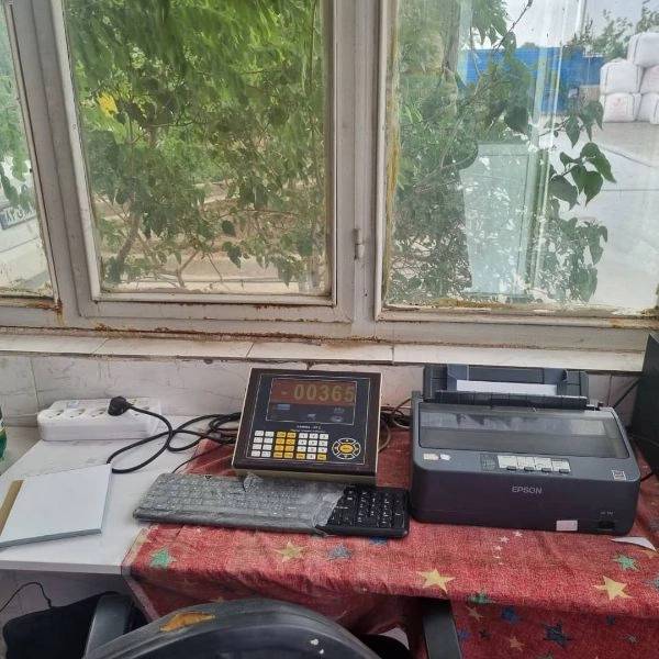 1717047163117.webp