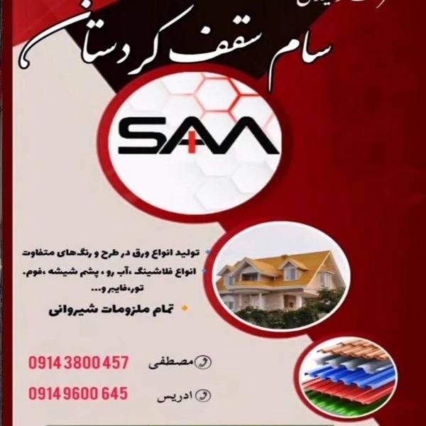 1718009345485.webp