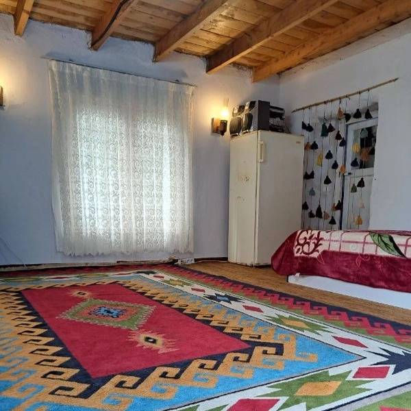 همیشه بهار