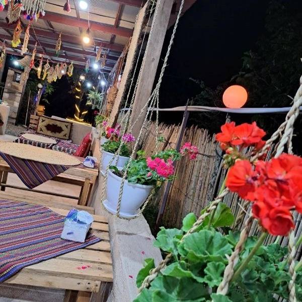 همیشه بهار