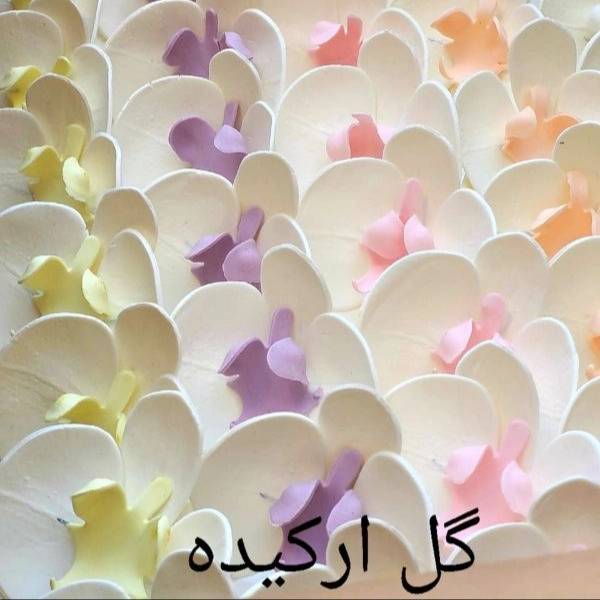 1724668674013.webp