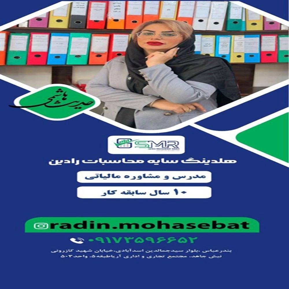 هلدینگ سایه محاسبات رادین