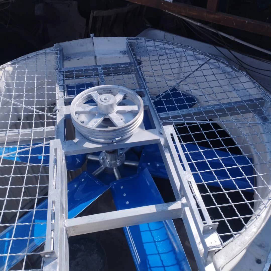 1732706139325.webp