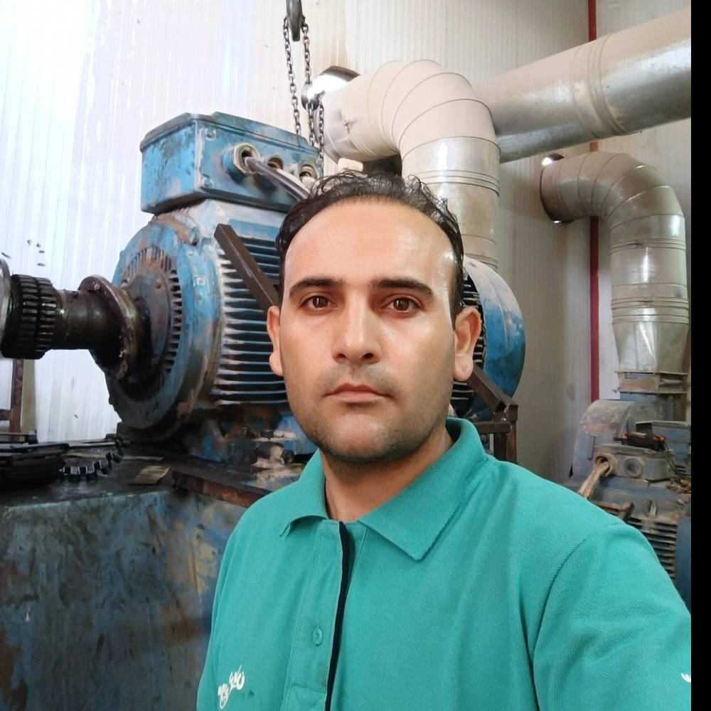 فن
