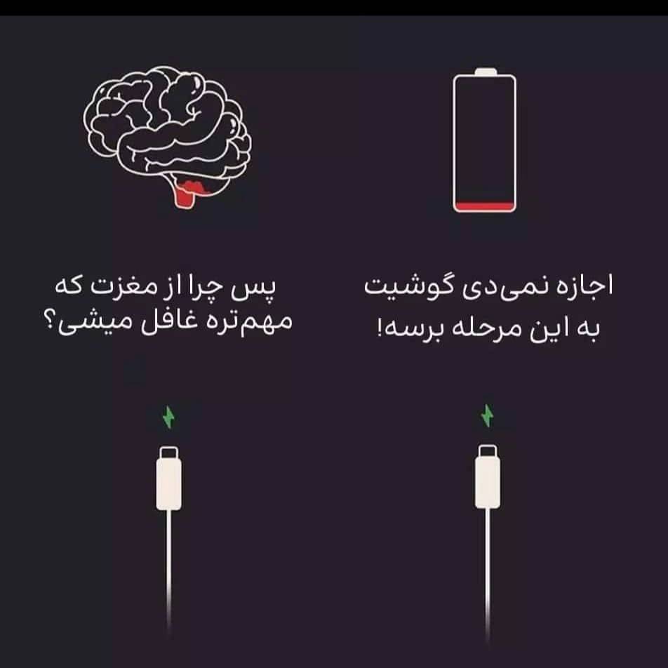 1762258543052.webp