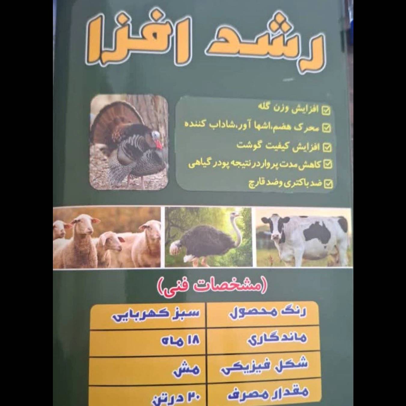 1770718313139.webp