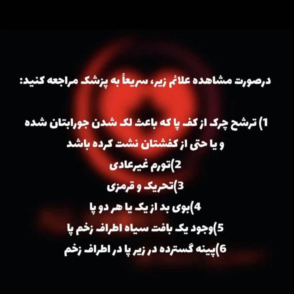 1772004219239.webp