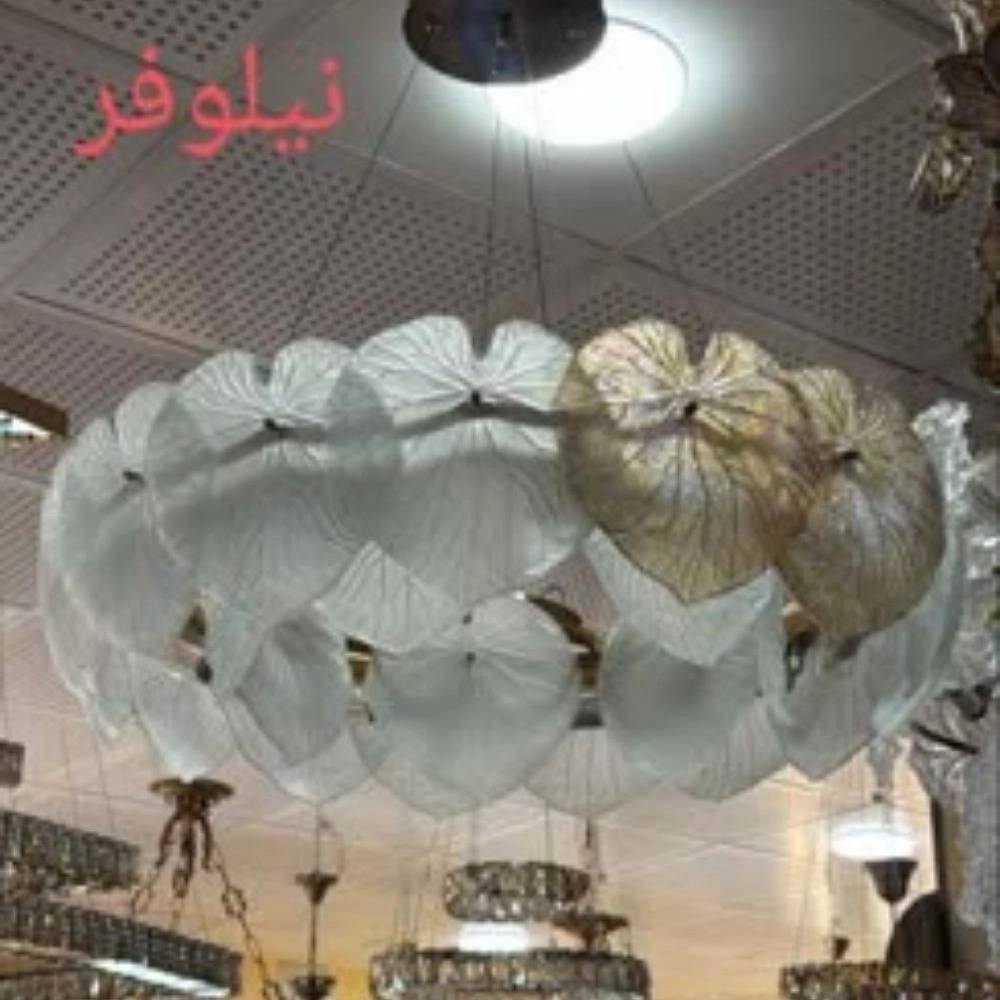 1772261116611.webp
