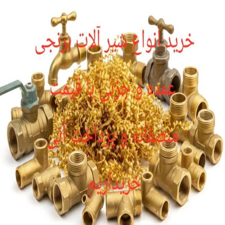 1785397358823.webp