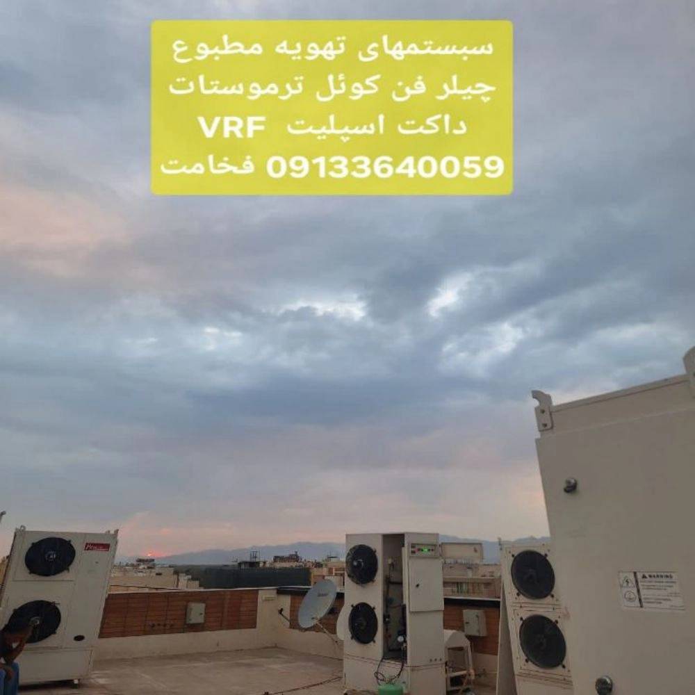 1786944422792.webp
