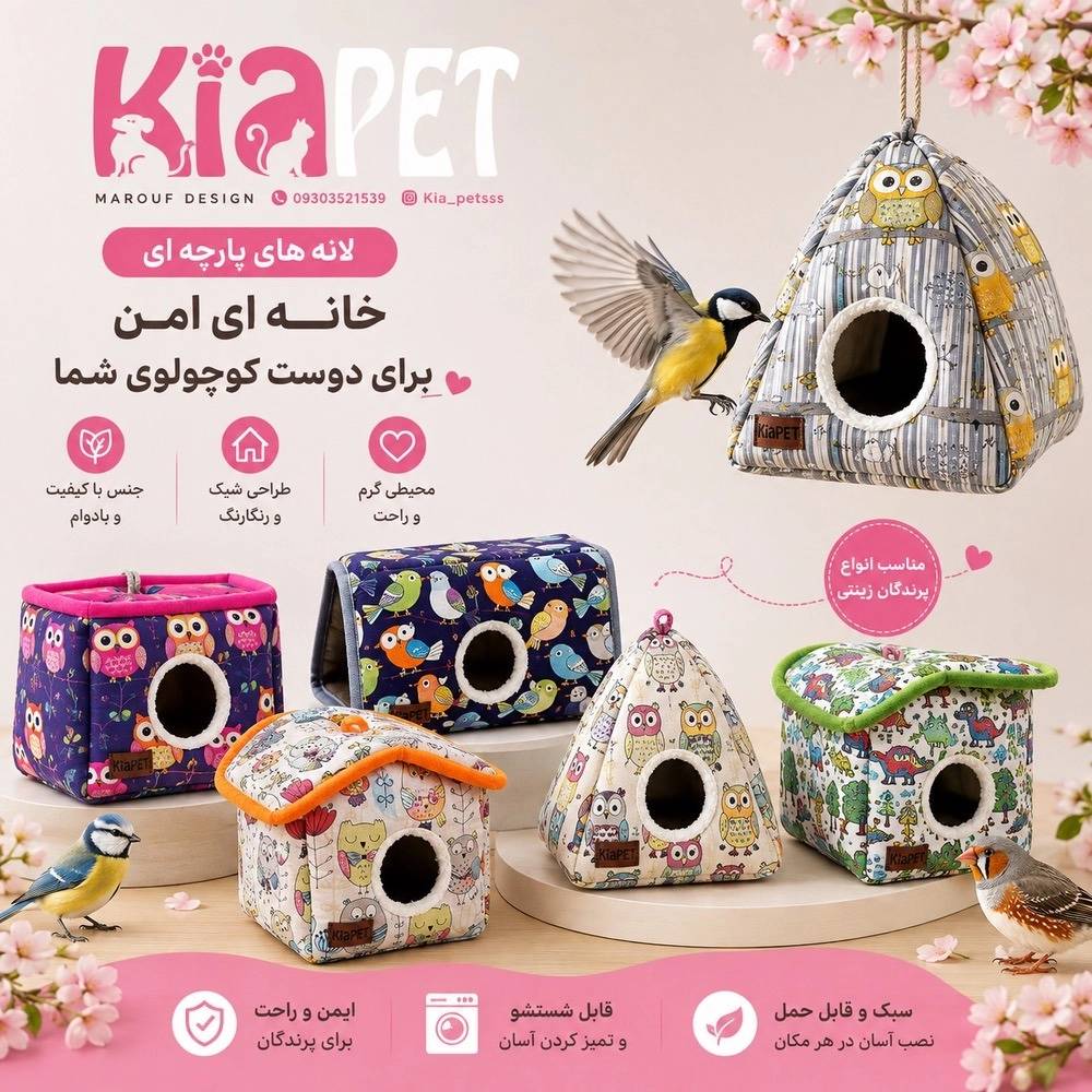 1788617678876.webp