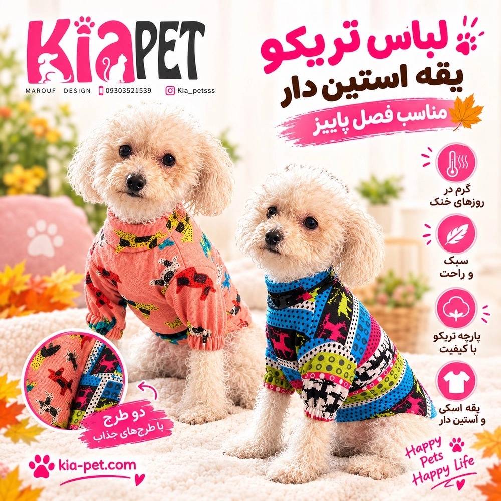 1789551223056.webp