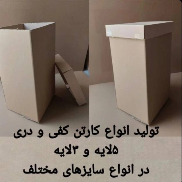 1790067310240.webp