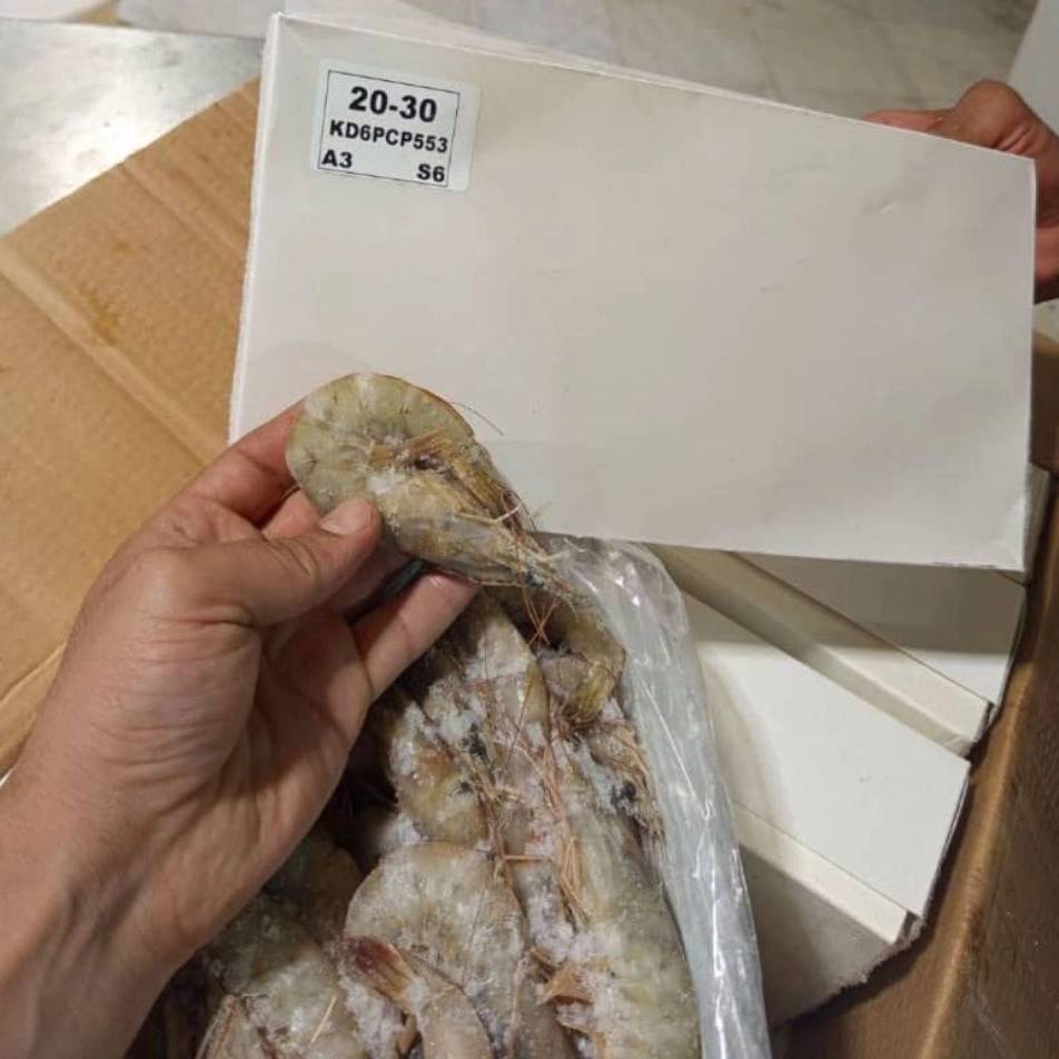 1790843109860.webp