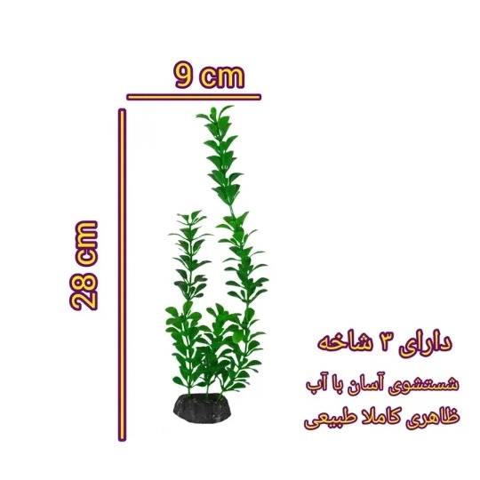 1690717090674.webp