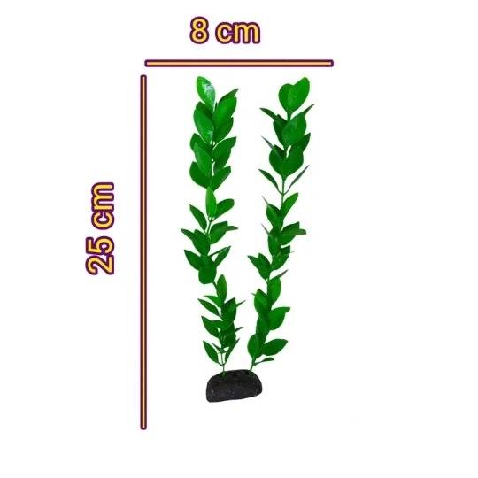 1690871251945.webp