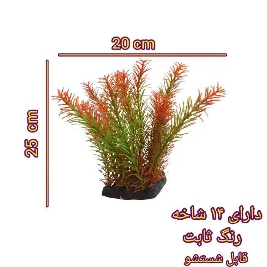 1690878582905.webp