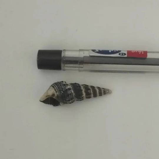 1690954456167.webp