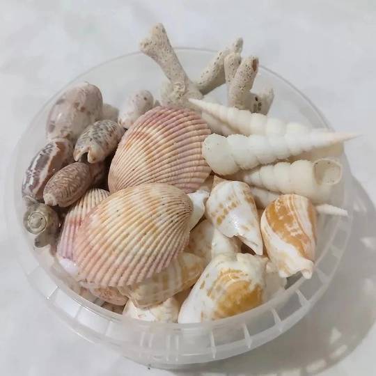 1690963471647.webp