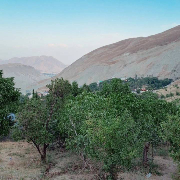 1692098553866.webp