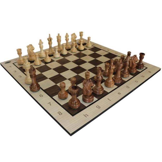 1692264596506.webp