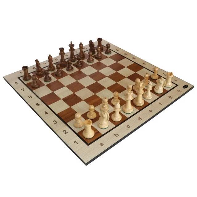 1692430871396.webp