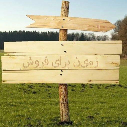 1692854550420.webp