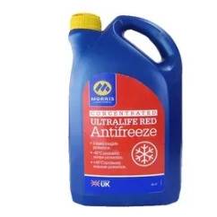 1693301699661.webp