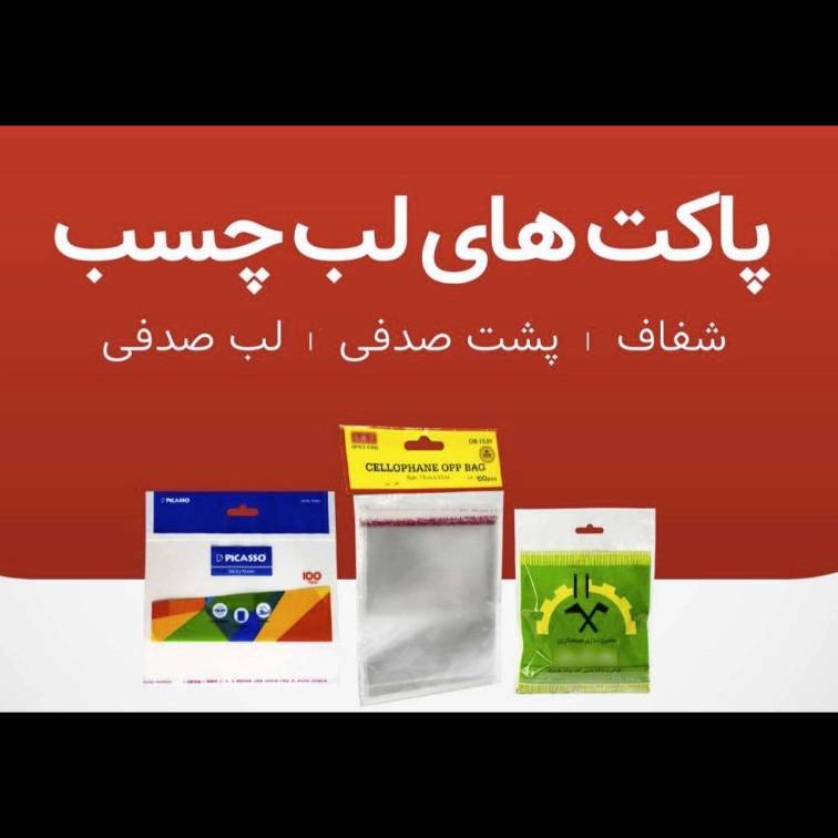 1697009026432.webp