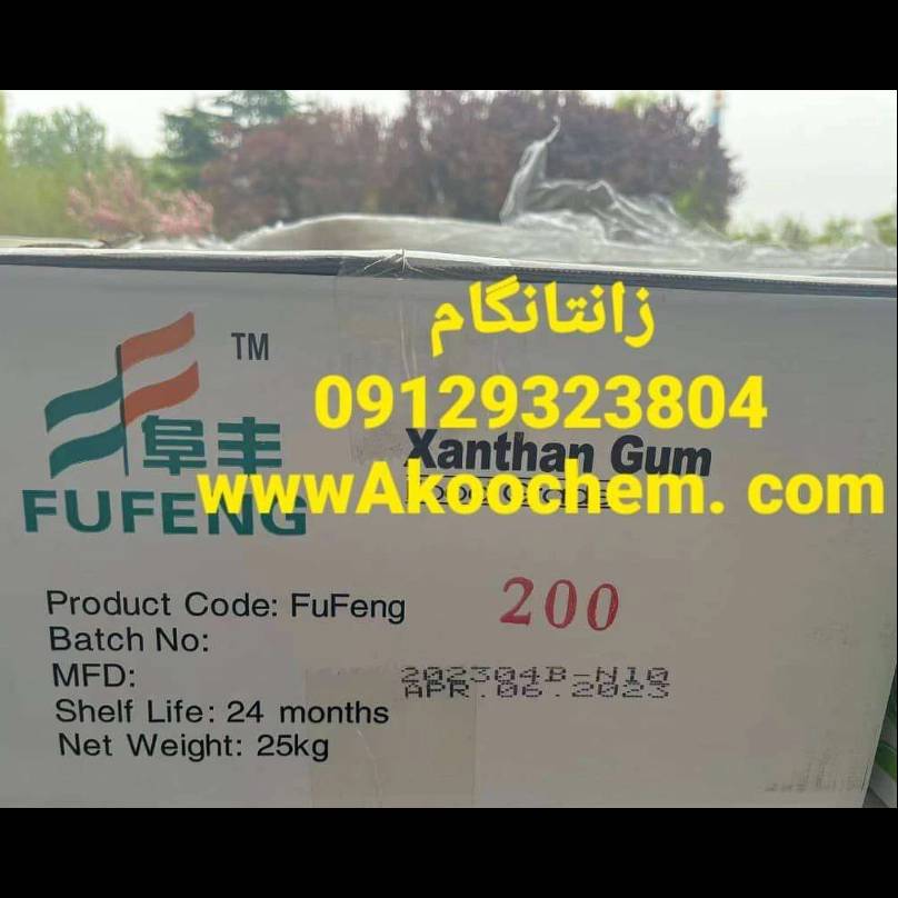 1697877455308.webp
